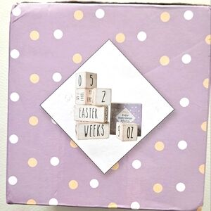 Baby Milestone Blocks